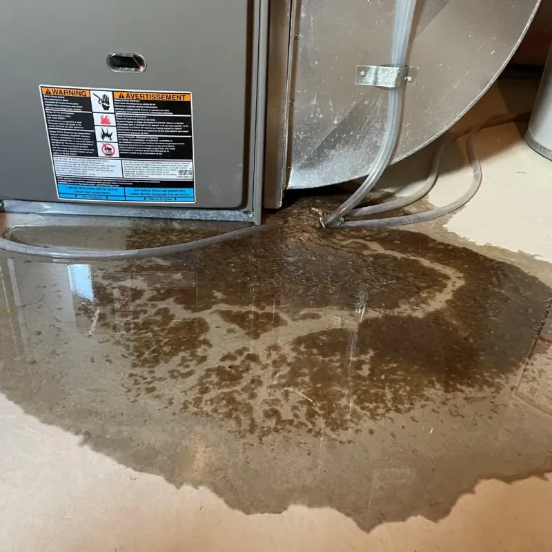 Appliance Leak Cleanup in Martin County, IN